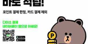 다이소 네이버페이 천원 적립 이벤트