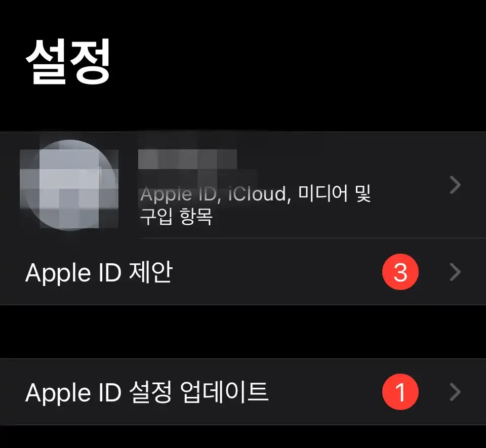 아이폰 설정에 들어간 모습
