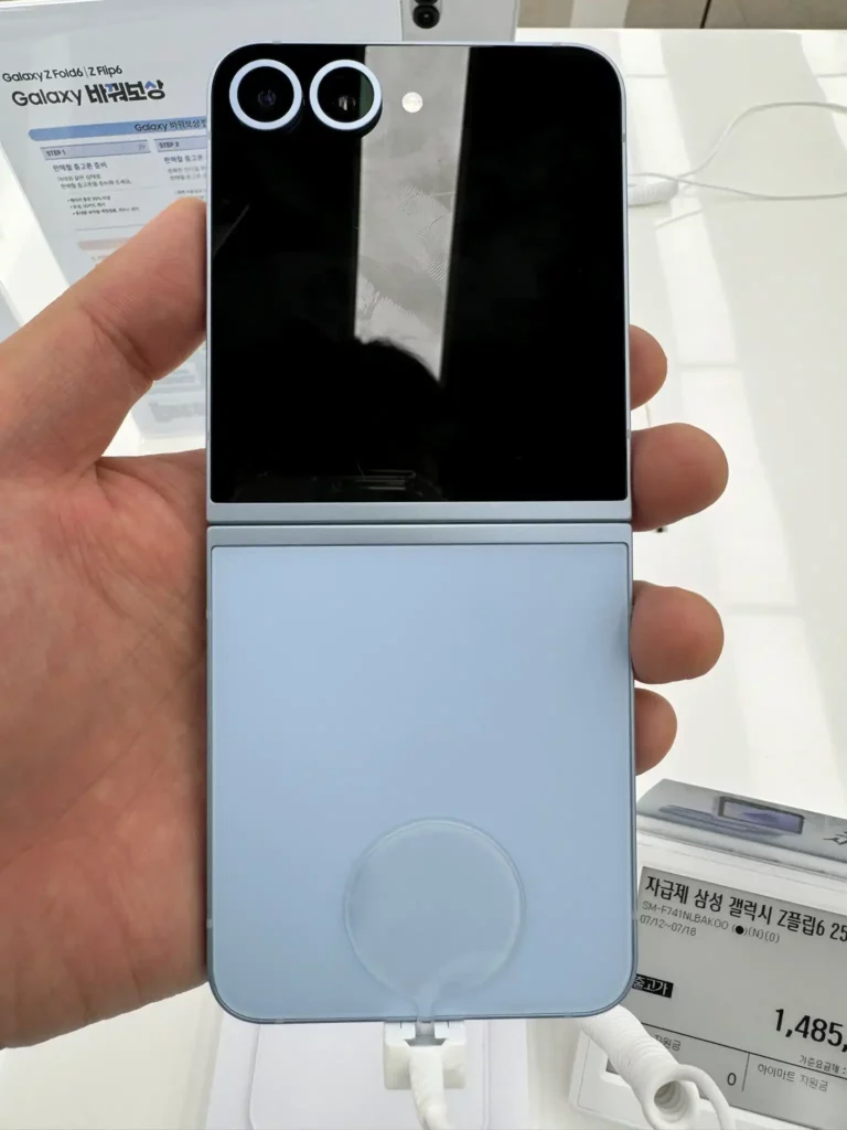 플립6
