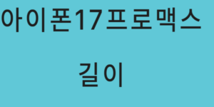 아이폰17프로맥스 길이