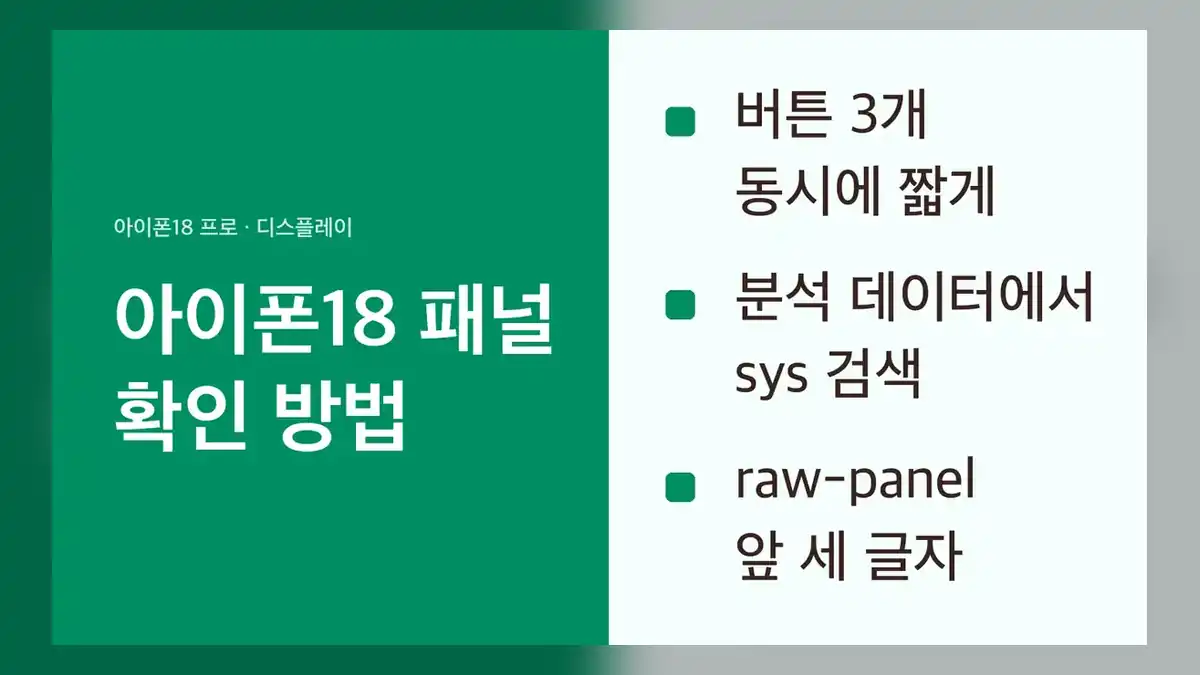 아이폰18 패널 확인 방법 요약