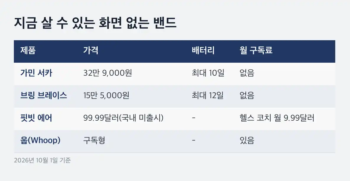 애플 스크린리스 스마트밴드 지금 살 수 있는 스크린리스 밴드 비교